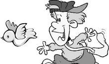 看图作文离群的小雁_150字