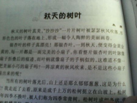 写一个文字：spring _350字