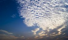 我的一片天空_550字