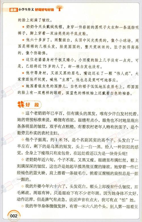 和游_350字
