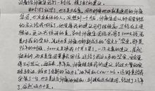 初二书信：小鸟给人类的一封信_300字