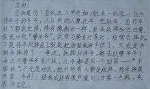 初二书信：给农民伯伯的一封信_800字