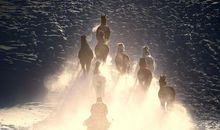 冬日暖阳_1200字