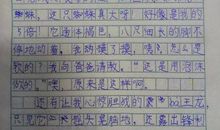 关于坚强的作文：我需插上一双名为坚强的翅膀_750字