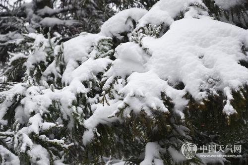 关于天气的描述：大雪_800字