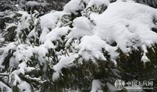 关于天气的描写：大雪纷飞_800字