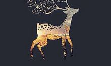 对视而莫言语_800字