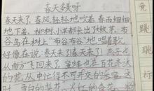 一年级想象作文：水仙的自述_250字