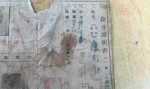 2018年山东聊城中考作文范文五：守望花开（5）_650字