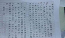 建国60周年作文：祖国在我心中演讲稿_1200字