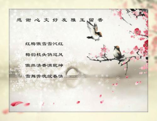 成长，总是美丽_900字