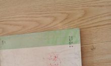 我与阿英_1200字