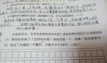 关于对手的作文：我的“对手”朋友_500字