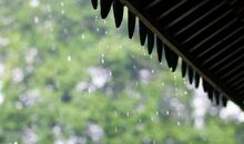 柔柔春雨情_1000字