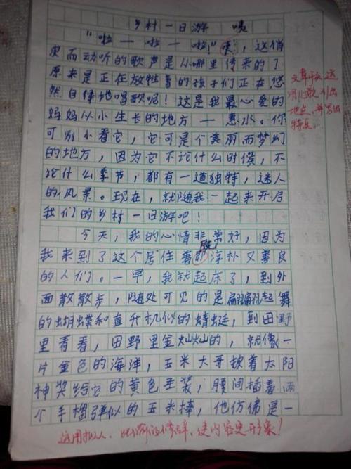 可爱的小白兔_200字