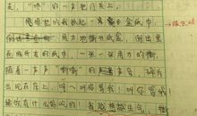 记童年趣事_450字