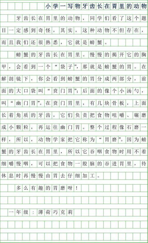 一年级想象：我的海洋生命_250字