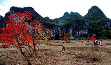 幸福原来很简单_600字