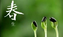 美丽的春天_250字