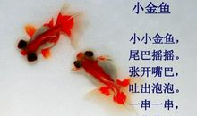 歪尾巴的小金鱼_400字