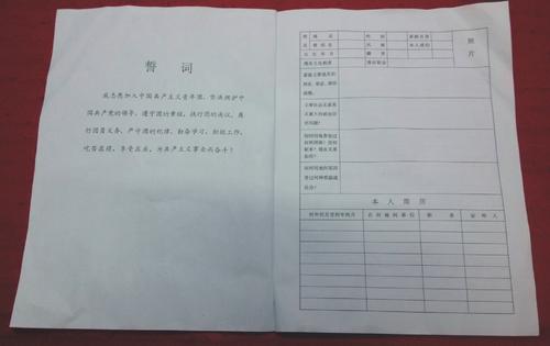 进入小组志愿者书六_450字