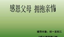感恩，母亲_800字