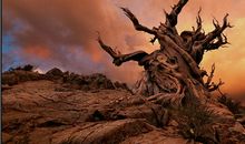 挫败——人生必经之路_600字