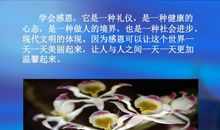 学会感恩，收获人生_1000字