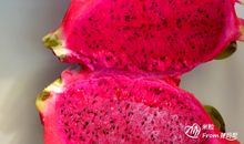 火龙果日记_2000字