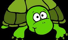 可爱的小乌龟_500字