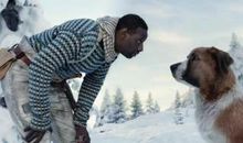 读《狼王》后有感_800字