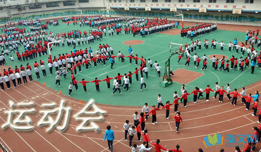体育会议的强大力量_550字