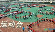 在运动会中汲取成长的力量_550字