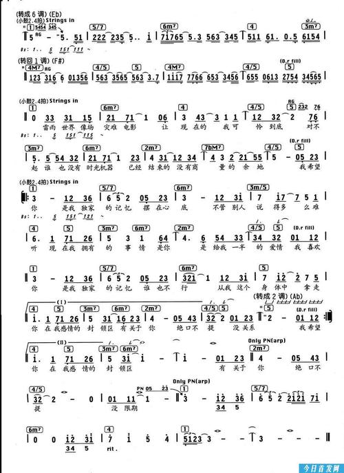 你是我的独家记忆_1500字