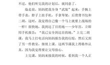 我亲身经历的一件事_250字