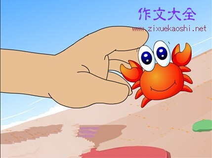 抓蟹_300字