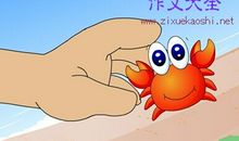捉螃蟹_300字