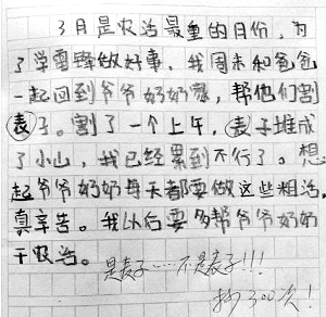 [梦想文章]我的理想_600字