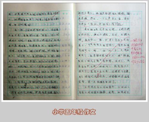 由照片造成的记忆_550字