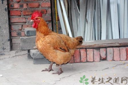 激发_300字