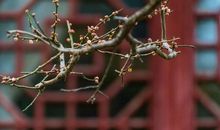 将心比心，以心换心。_100字