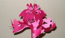 雨中的节日_200字