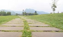 爱你是我做过最好的事_1500字