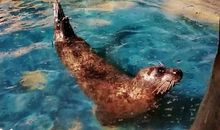 再见，我的小鱼港_3000字