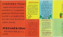 我们身边的垃圾_150字