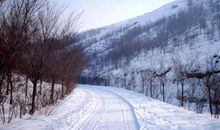 冬天到了，春天还会远吗_250字