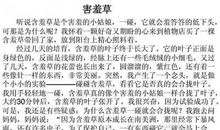 初三状物作文：含羞草的秘密_700字