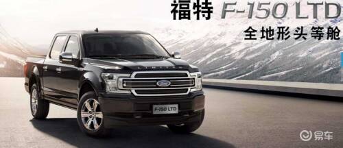 小狗福特_150字