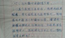 初三状物作文：蝉——对生命的赞美_600字