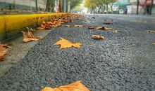 [PK赛]关于冬天的作文：秋末已过，初冬已至_800字